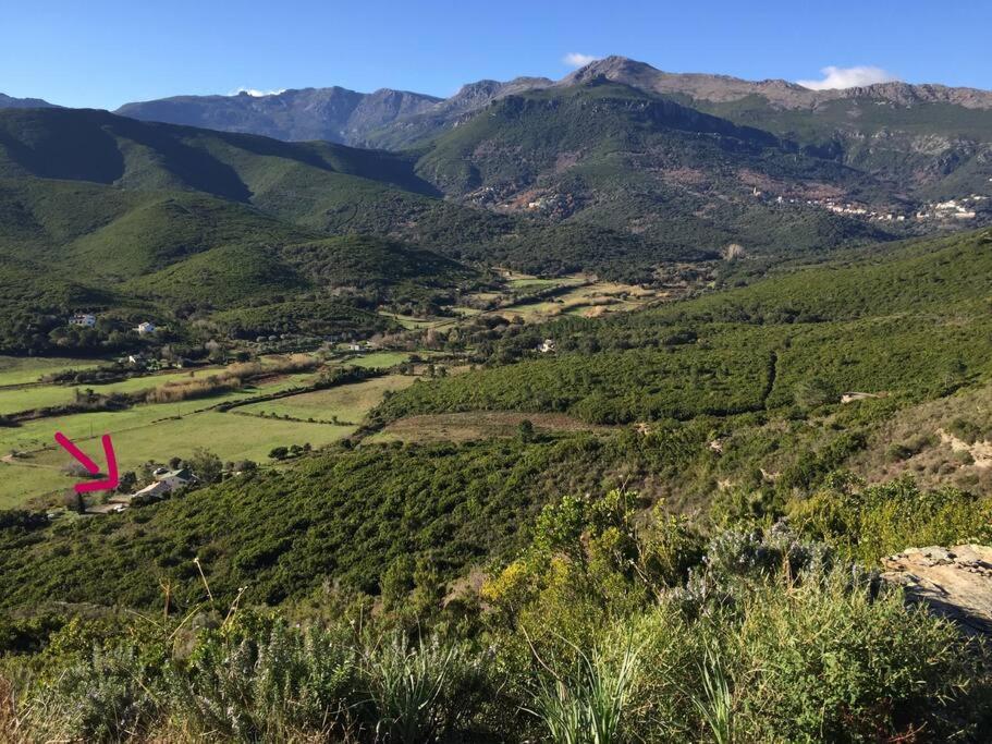 Belle Villa A Misincu- Du Cote De Chez Annabelle Cagnano المظهر الخارجي الصورة