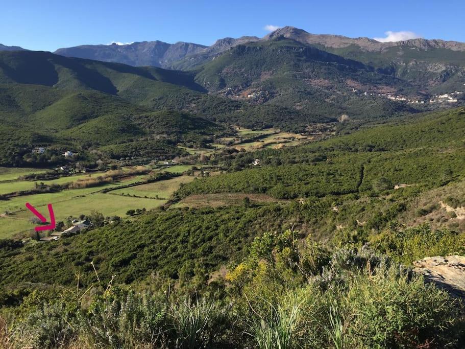 Belle Villa A Misincu- Du Cote De Chez Annabelle Cagnano المظهر الخارجي الصورة